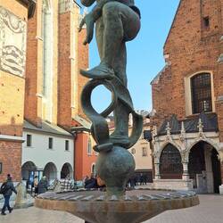 Zak (studente medievale)