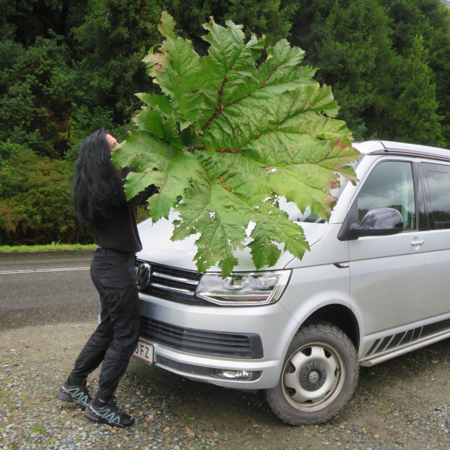 Sowas nenne ich mal Bärentatzen ;)