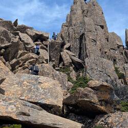 Weg: Wer suchet, der findet.