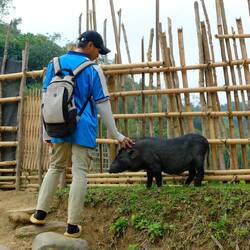 Das Dorfschwein und unser junger Guide