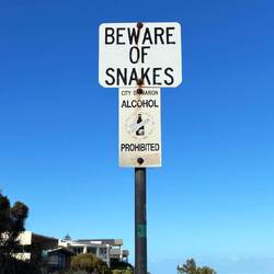 Snakes ok, aber kein Alkohol???