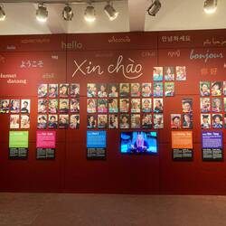 Detailing some of the features of Vietnam's different ethnic groups.
