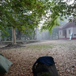 Das Parkzentrum im morgendlichen Nebel