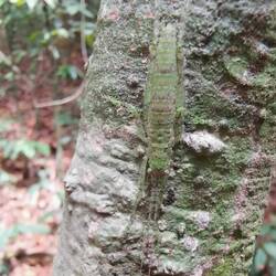 Sehr leicht zu übersehen...