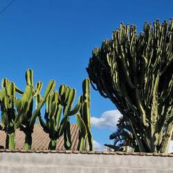 Haushoch sind die hier.