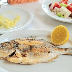 Dorade in der Taverne Celada