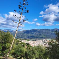 Fast wieder in Cortes de la Frontera.