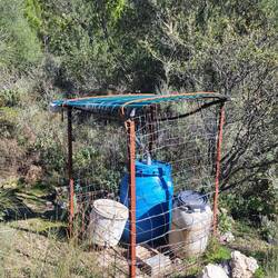 Hier wird Regenwasser gesammelt.