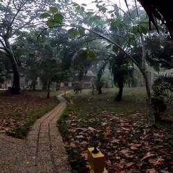 Der Regen am frühen Morgen, kurz nach Sonnenaufgang