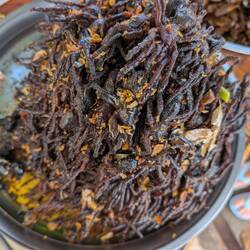 This market specialised in crunchy creepy crawlies!