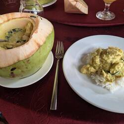 Our delicious lunch - Chicken in a mild coconut sauce.