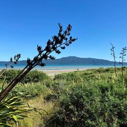 Paraparaumu Beach walk