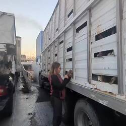 Doch kein perfekter Platz🐐