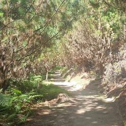 Beautiful trails