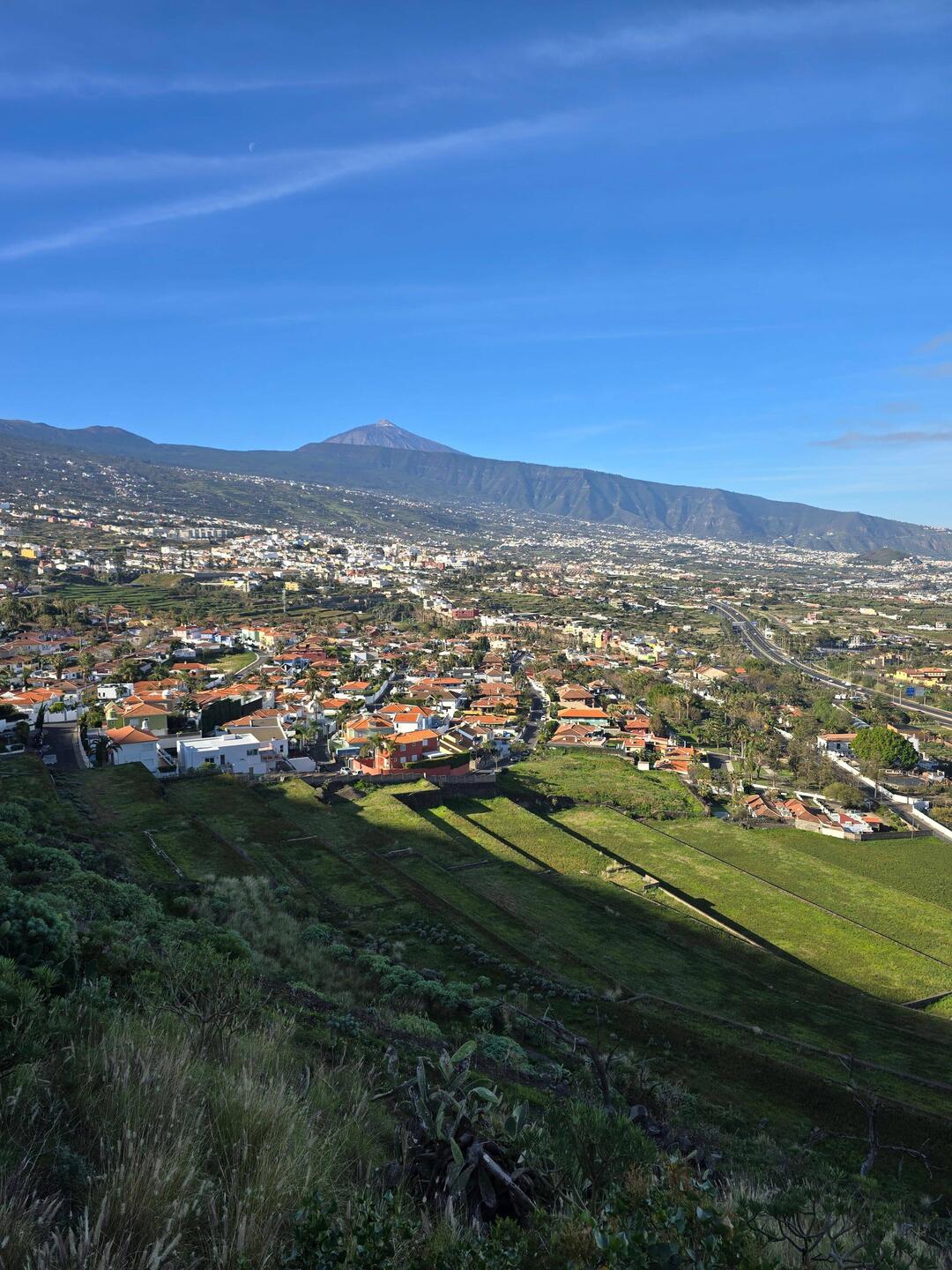 Blick über das Tal. Im Hintergrund der Teide.