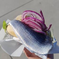 Fish...