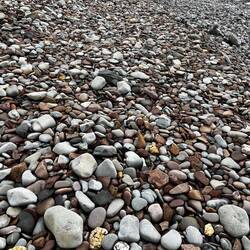 A lot of stones to turn