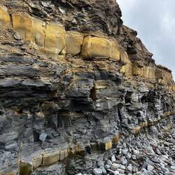 The cliff holding more fossils in the black layer