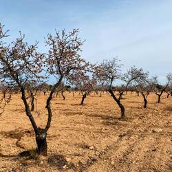 Das wollen wir dem WoMo nicht zumuten