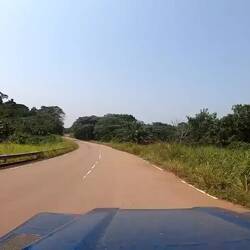 ...vor allem gibt es tausende Schmetterlinge, über Stunden