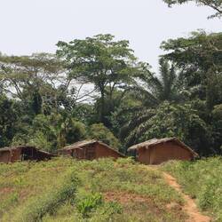 ...ab und an gibt es mal ein Dorf...