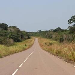 Der Wald wird irgendwann zur Steppe...