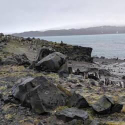 Very rocky, steep and muddy