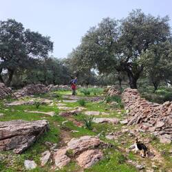 Zw. zwei Trockensteinmauern geht es weiter aufwärts.