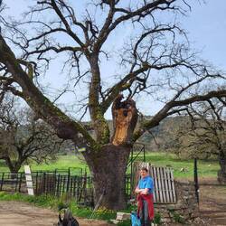 Pausenplatz mit Blick auf...