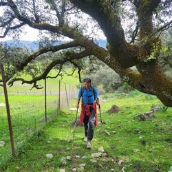 Erst geht es immer am Zaun lang und...