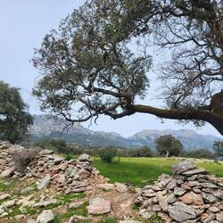 Blick auf die Bergwelt von gestern.