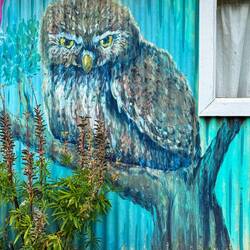 Mural of an owl at the artisan village — Ushuaia, Argentina.