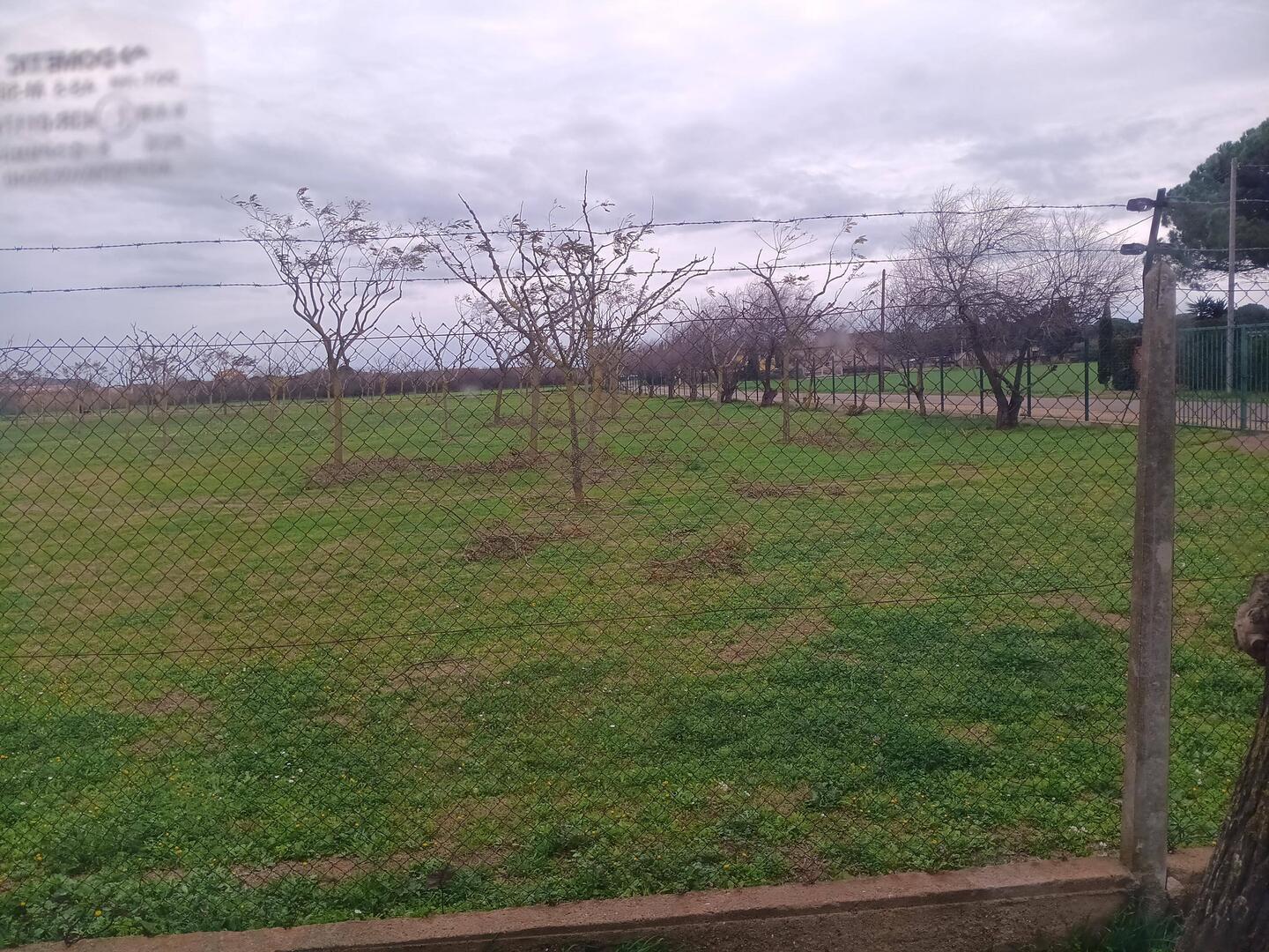 Ausblick vom womo. Freier Blick