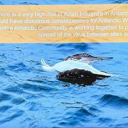 Avian flu is very much a challenge in the places we'll be visiting.