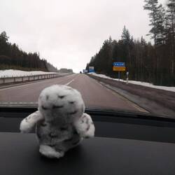 Bubo in Falun \m/ leider ohne Sabaton-Konzert