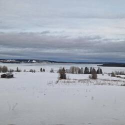 Gefrorene Seen und Landschaften... doch bei ca. +3°
