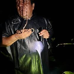 Luis mit Katzenschlange