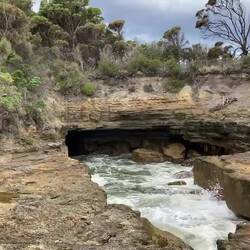 Tasman Blowhole