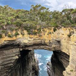 Tasman Arch