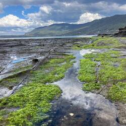 Tessellated Pavement