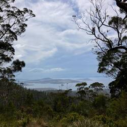 Three Thumbs Lookout
