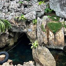 Hier kann man in die Höhle hinein schwimmen