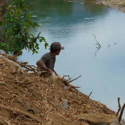 Der Fischer beobachtet das Treiben und wirft weiter seine Netze aus