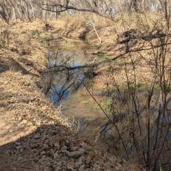 San Pedro River. It's really low.