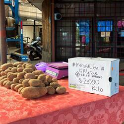 Potatoes: 2,000 pesos a kilo is about $3 Canadian