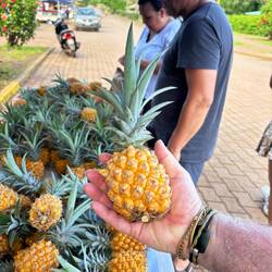 Tiny pineapples