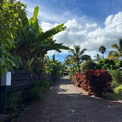 Walking to the main drag