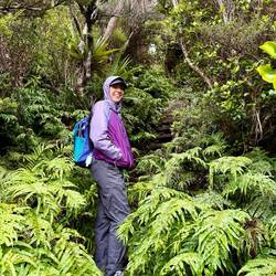 Back into the forest to climb up Mt Pouakai