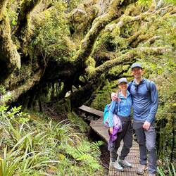 Beautiful boardwalk through the mossy forest on Pouakai