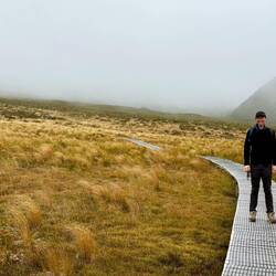 Ahukawakawa Swamp. Almost this entire hike was boardwalk or stairs. Very impressive.